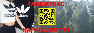 индика Гусь-Хрустальный