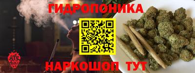 сатива Гусиноозёрск