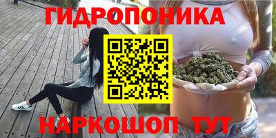 твердый Гусев