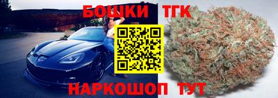 индика Гусь-Хрустальный