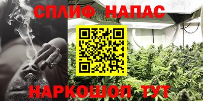 твердый Гусев