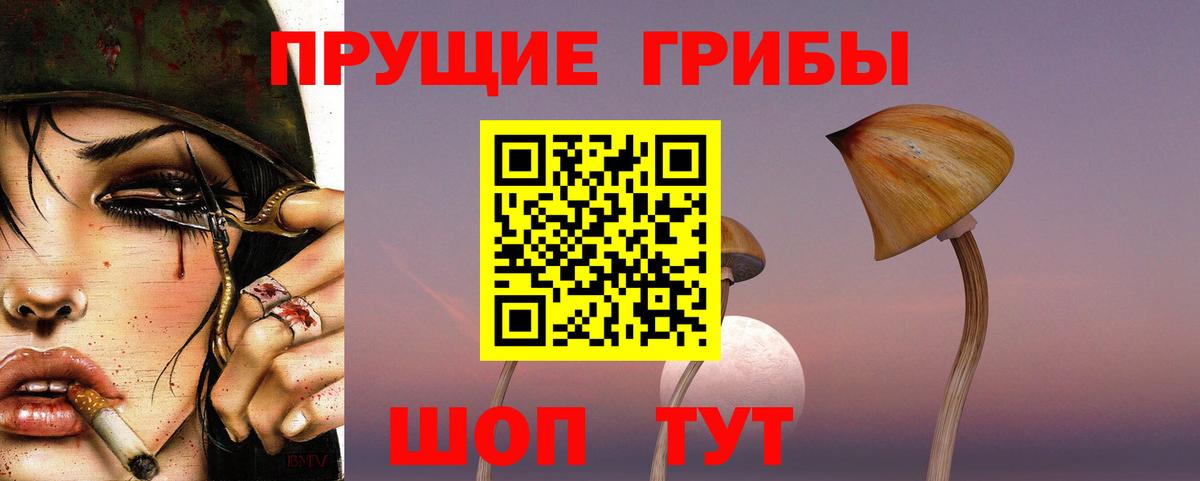 Псилоцибиновые грибы ЛСД Видное